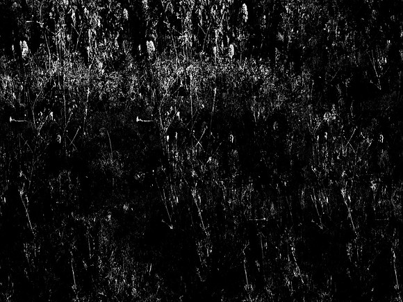 040617-166-6