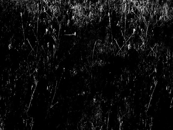040617-166-8
