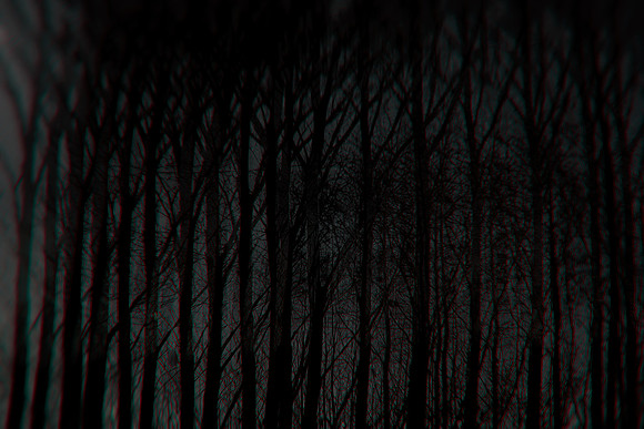 291114 #258-2-2