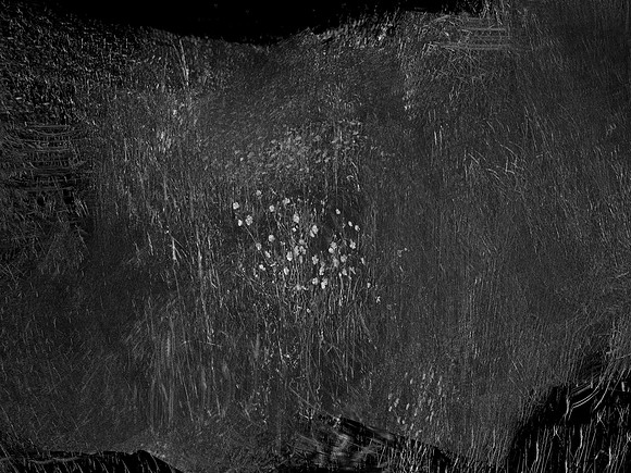 010617-82-2