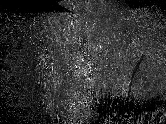 010617-82-3