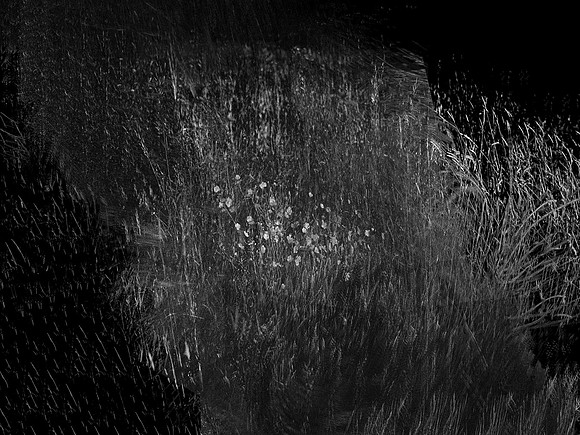 010617-82-4