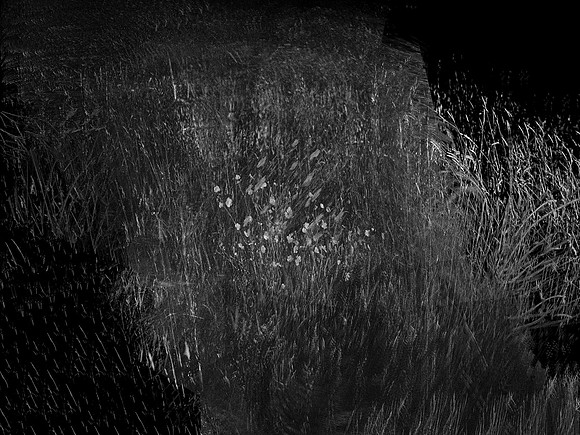 010617-82-5