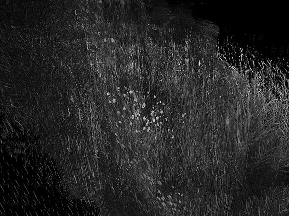 010617-82-6
