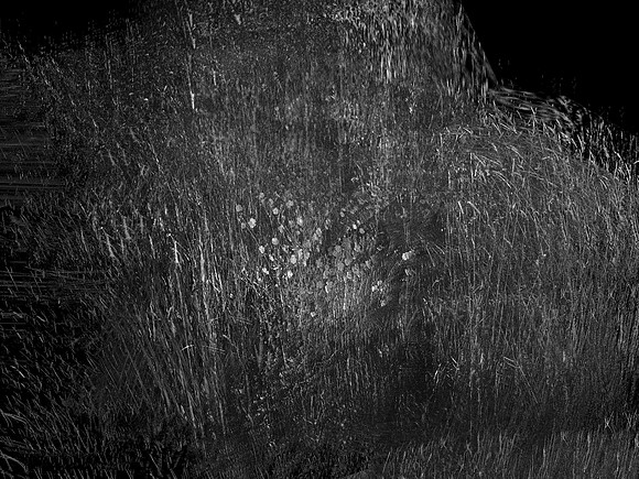 010617-82-8