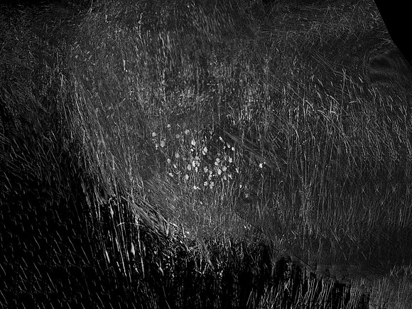 010617-82-9