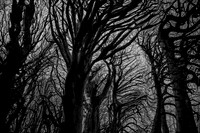 chrisfriel-5-3
