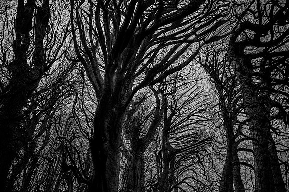 chrisfriel-5-3