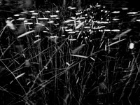 010617-301-5