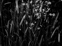 010617-301-6
