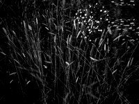 010617-301-20
