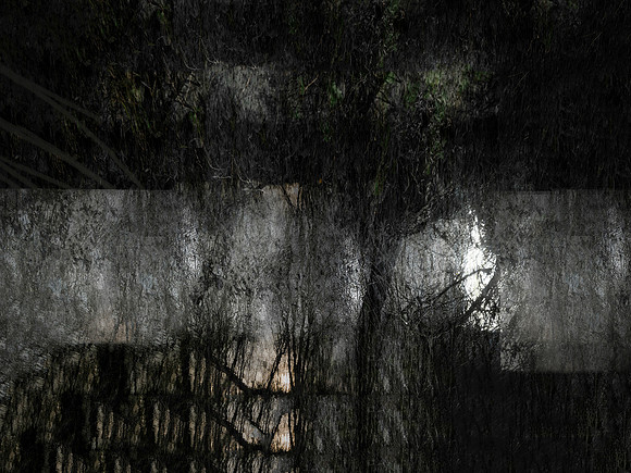 300717-1-1
