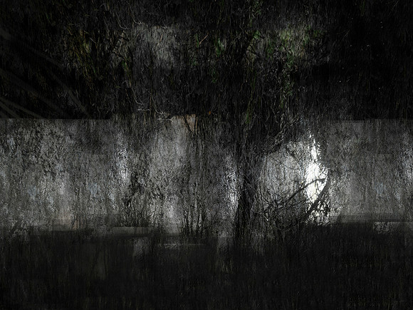 300717-1-2