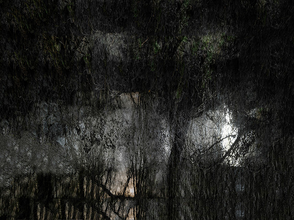 300717-1-3