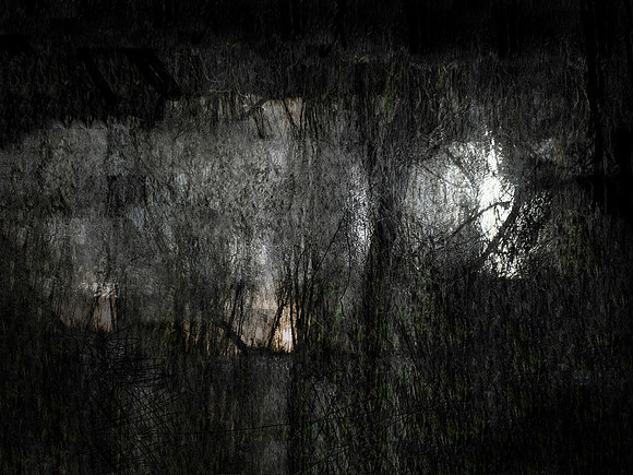 300717-1-4