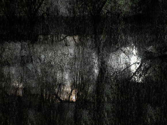 300717-1-5
