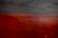 sea of blood 4