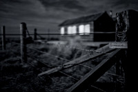 Barbed wire