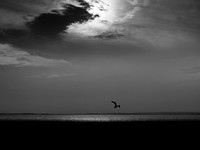180717-4-38