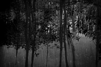 2013-09-30v2-142