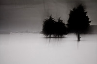 winter 12