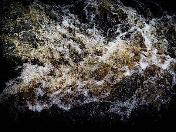 310717-1161-2