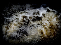 010817-1063