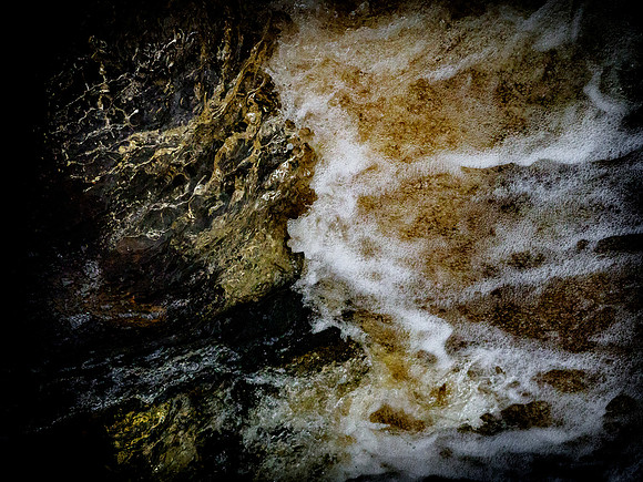 310717-1172