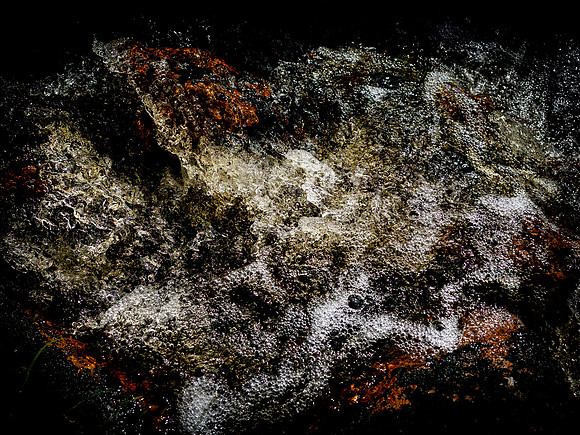 300717-1160