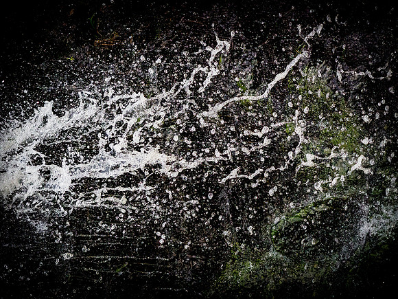 300717-1260