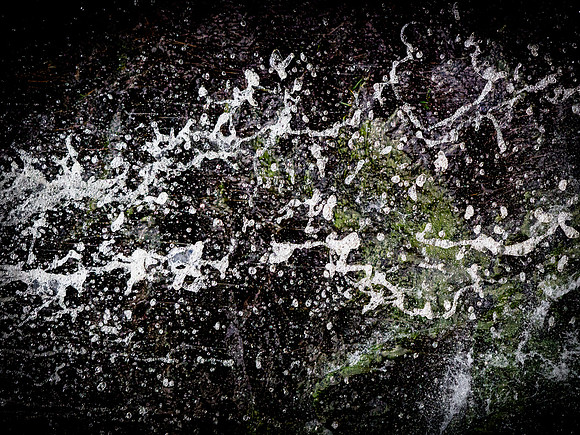 300717-1264-2