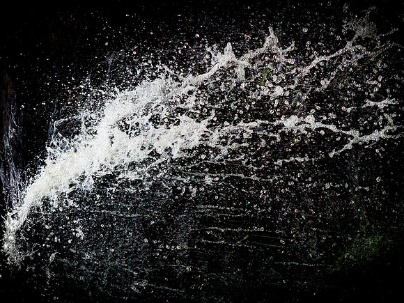 300717-1279