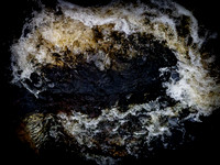 310717-1180