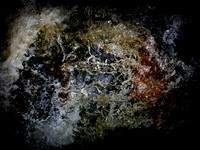 290717-665