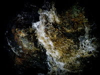 310717-1169