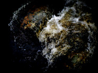 310717-1190