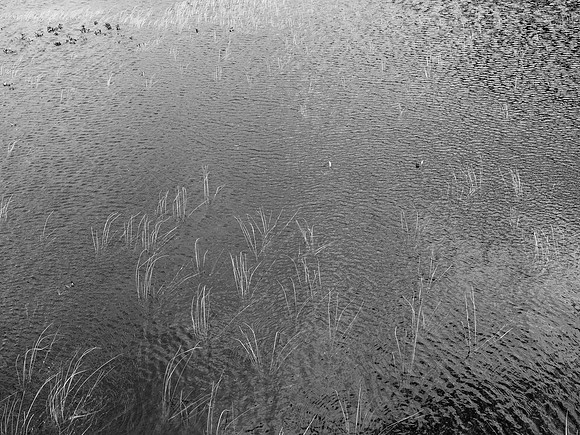 020817-37