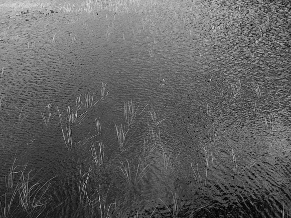 020817-38