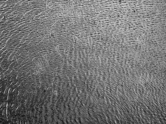 020817-50