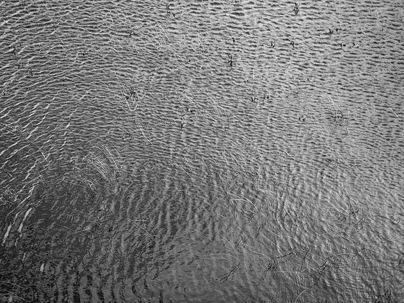 020817-51