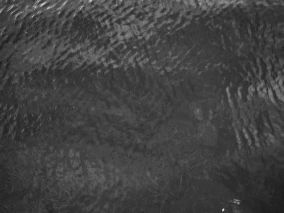 020817-52