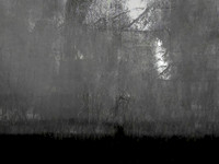 260417-2-10