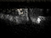 280817-1
