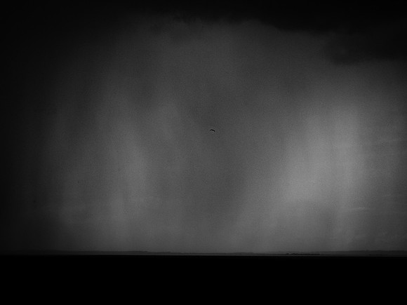 310817-6