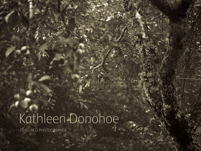 on landscape