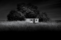 Home 4