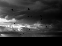 080917-2