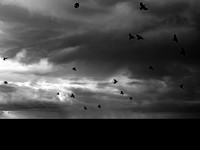 080917-3