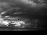 080917-4