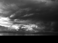 080917-5